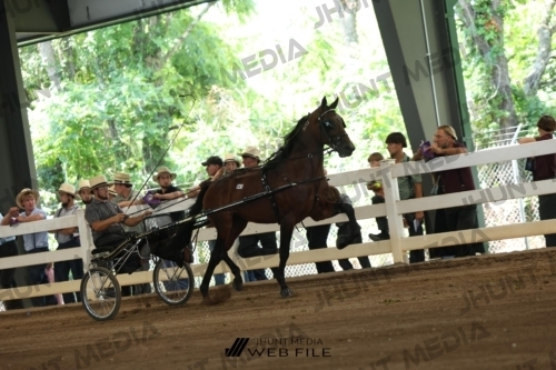 JHM_0388