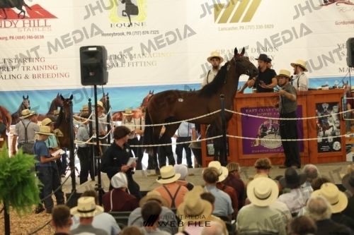 JHM_2982