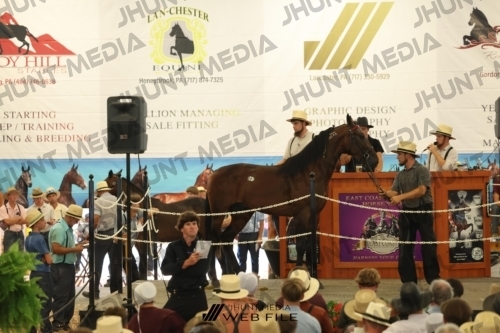 JHM_2984