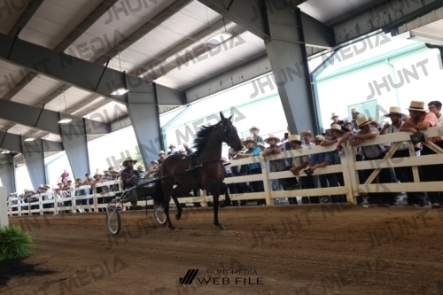 JHM_1334