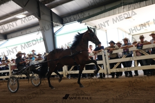 JHM_1351