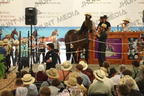 JHM_3007