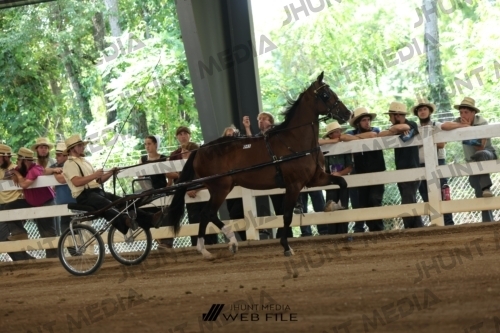 JHM_1374