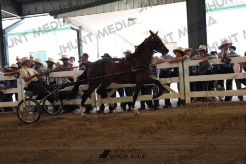 JHM_1542