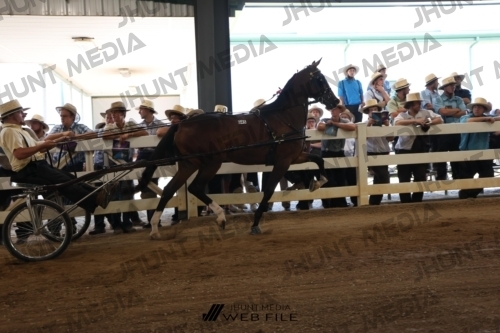 JHM_1551