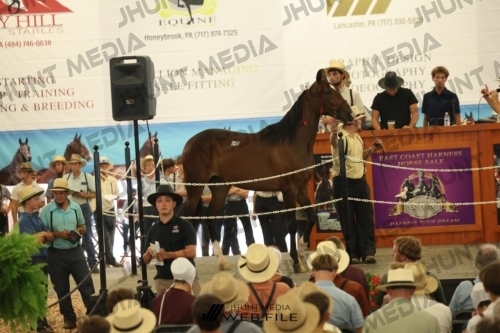 JHM_3016