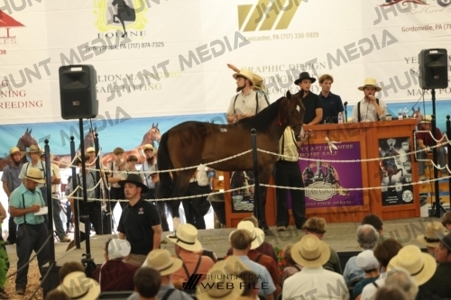 JHM_3020