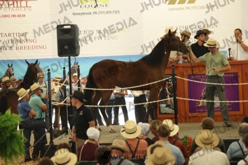 JHM_3028