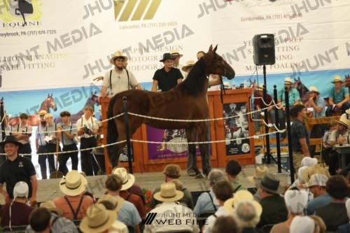 JHM_3036