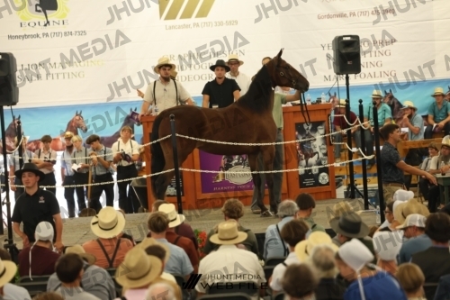 JHM_3038