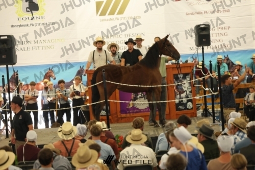 JHM_3039