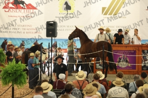 JHM_3041
