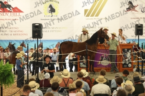 JHM_3043