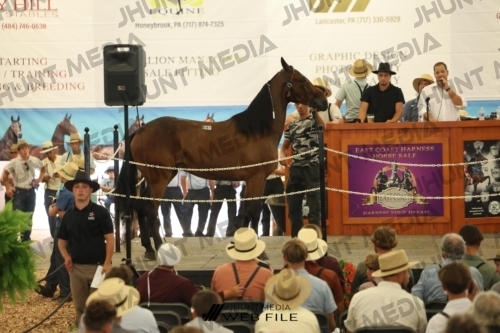 JHM_3054