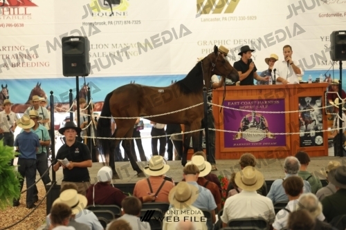 JHM_3055
