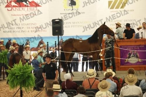 JHM_3057