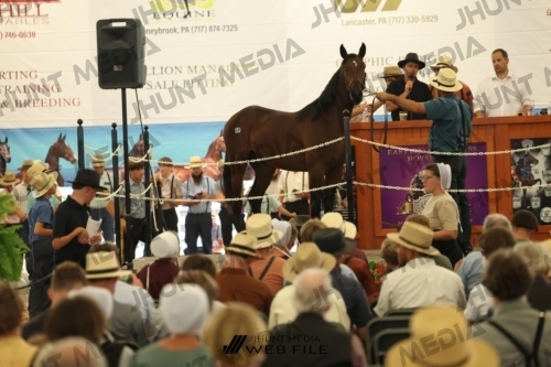 JHM_3062