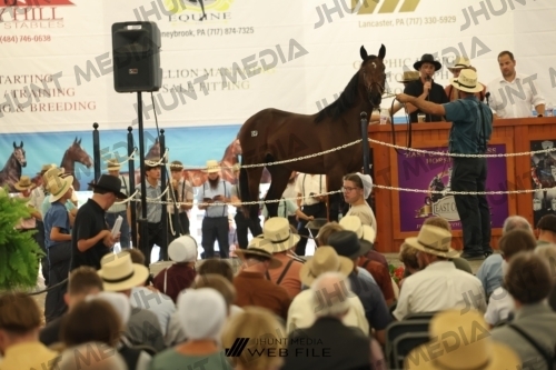 JHM_3063