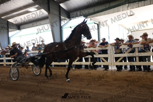 JHM_1591