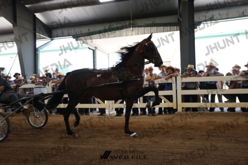 JHM_1599