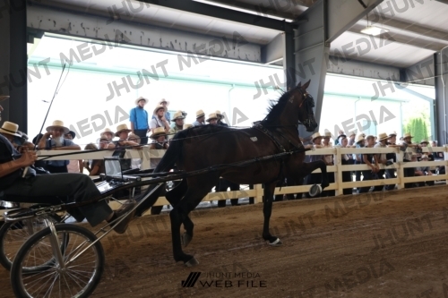 JHM_1618