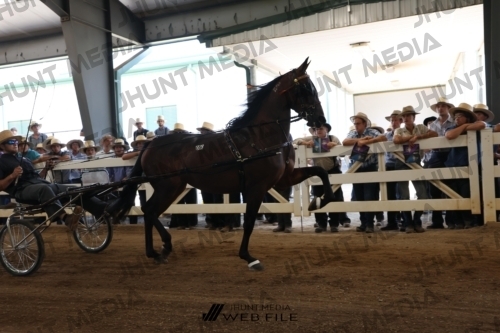 JHM_1692