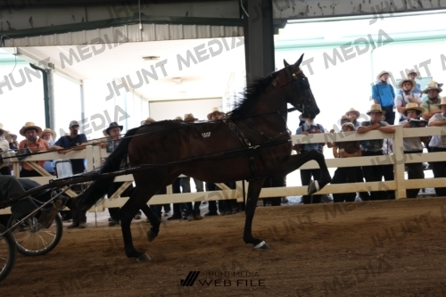 JHM_1701