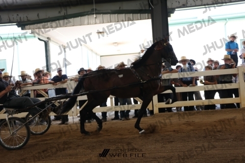 JHM_1828