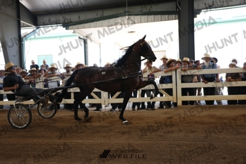 JHM_2019