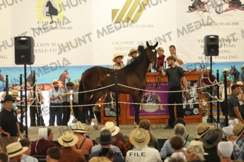 JHM_3110