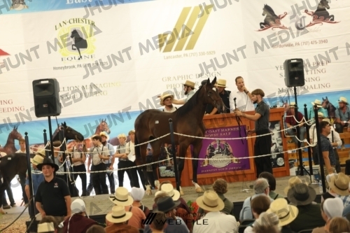 JHM_3122