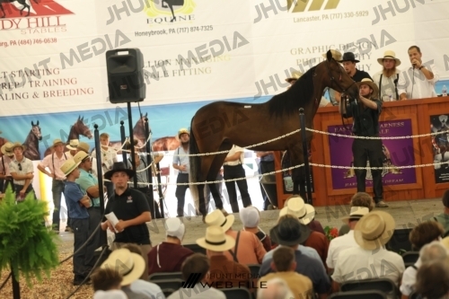 JHM_3136