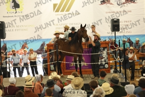 JHM_3137