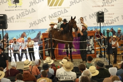 JHM_3138