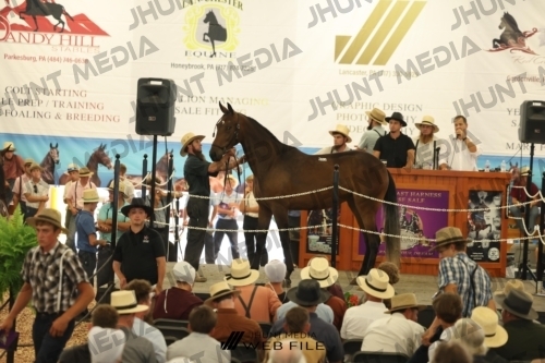 JHM_3139