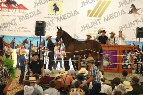 JHM_3140