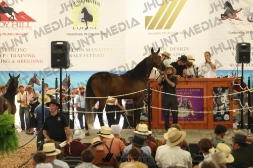 JHM_3141