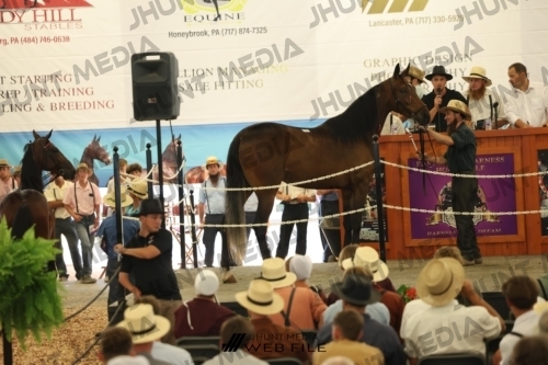 JHM_3143