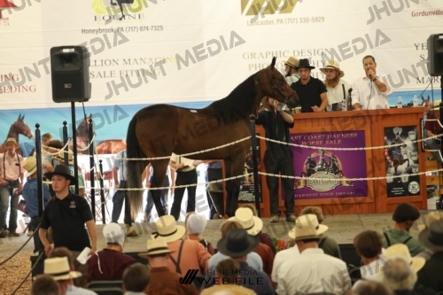 JHM_3145