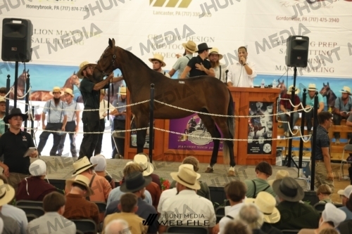 JHM_3146