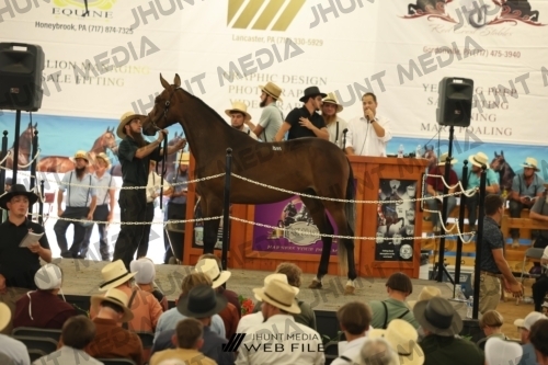 JHM_3147