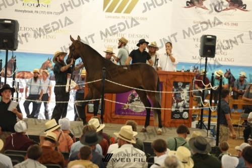 JHM_3148