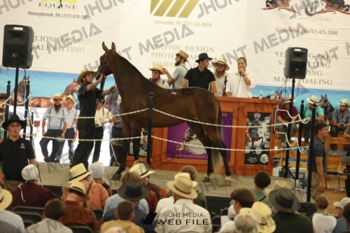 JHM_3149