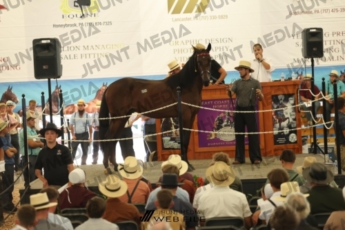 JHM_3154