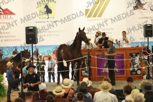JHM_3157