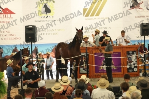 JHM_3158