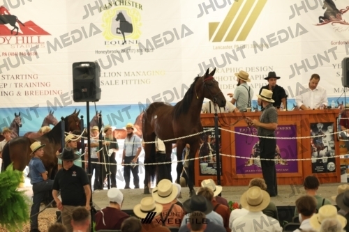 JHM_3159