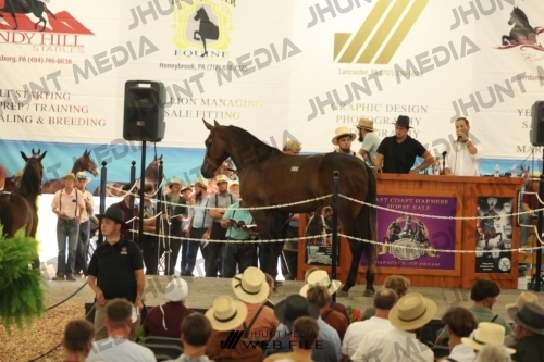 JHM_3166