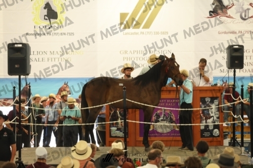 JHM_3167