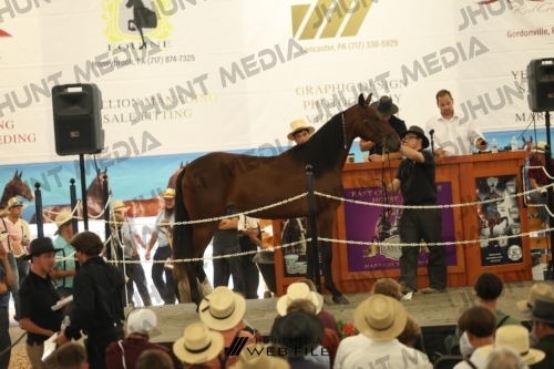 JHM_3172